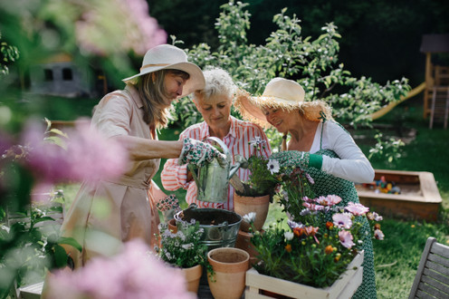 Why Garden Clubs and Master Gardener Associations Champion Quality Garden Tools and Gloves