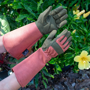 Comfort_Pros2__96878.