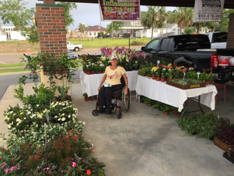 Farmer's Market