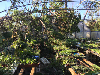 Some pictures of Hurricane Michael damage to our property