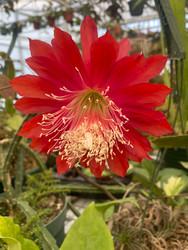 Happy Thanksgiving,  We are open on Black Friday