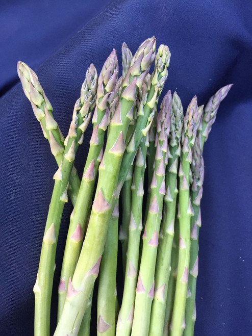 Asparagus Mary Washington