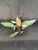 Philodendron Pink Princess Marble
