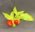 Barbados Cherry