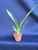 Nohacidium Parquet 'Uptown Girl'