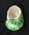 Green Silver Mouth Turbo Seashell