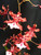 Oncidium Sharry Baby 'Sweet Fragrance'