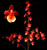 Oncostele Pacific Perspective 'Pacific Heat'