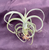 Tillandsia Curly Slim  (T. intermedia X T. streptophylla)