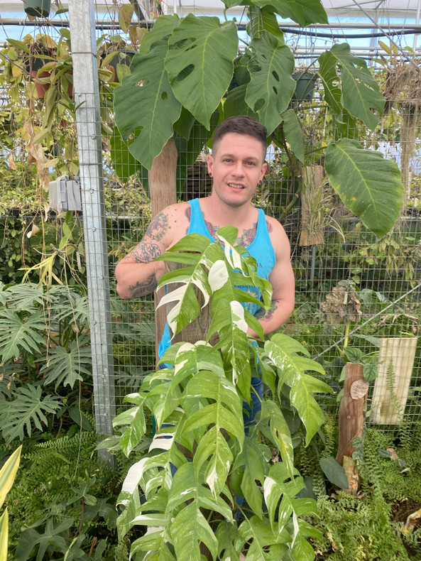 We are open Black Friday and Saturday!