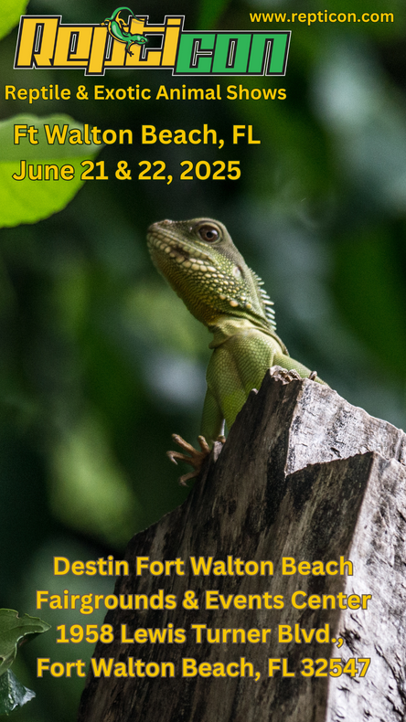 Repticon This Weekend