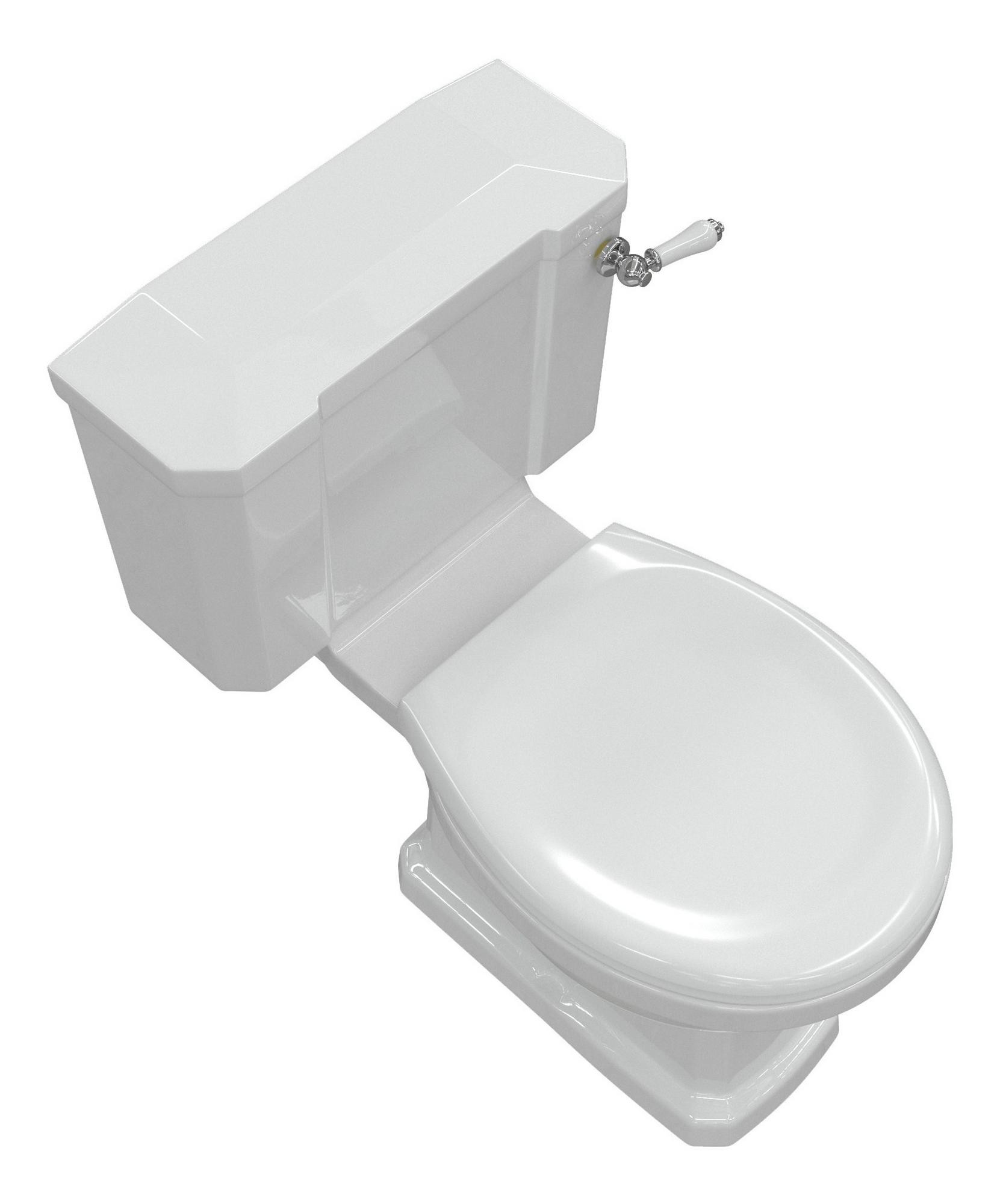 Close Coupled Comfort Height WC & Soft Close Seat - DIPTP0182-HighAngled_CO.jpg