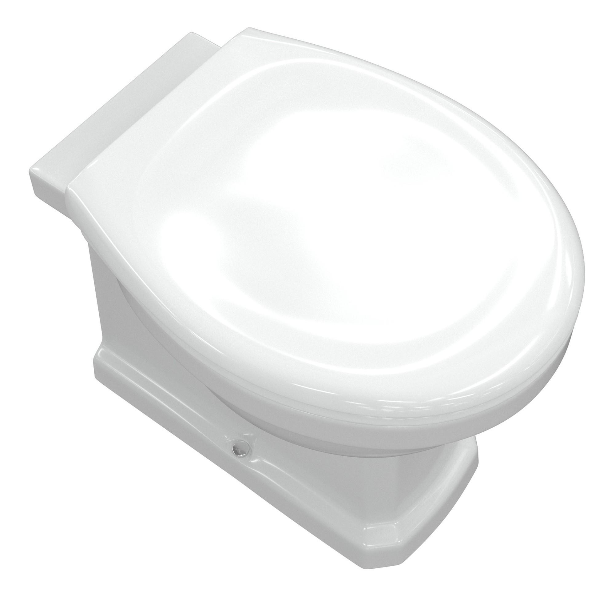 Back To Wall Comfort Height WC & Soft Close Seat - DIPTP0180-HighAngled_CO.jpg
