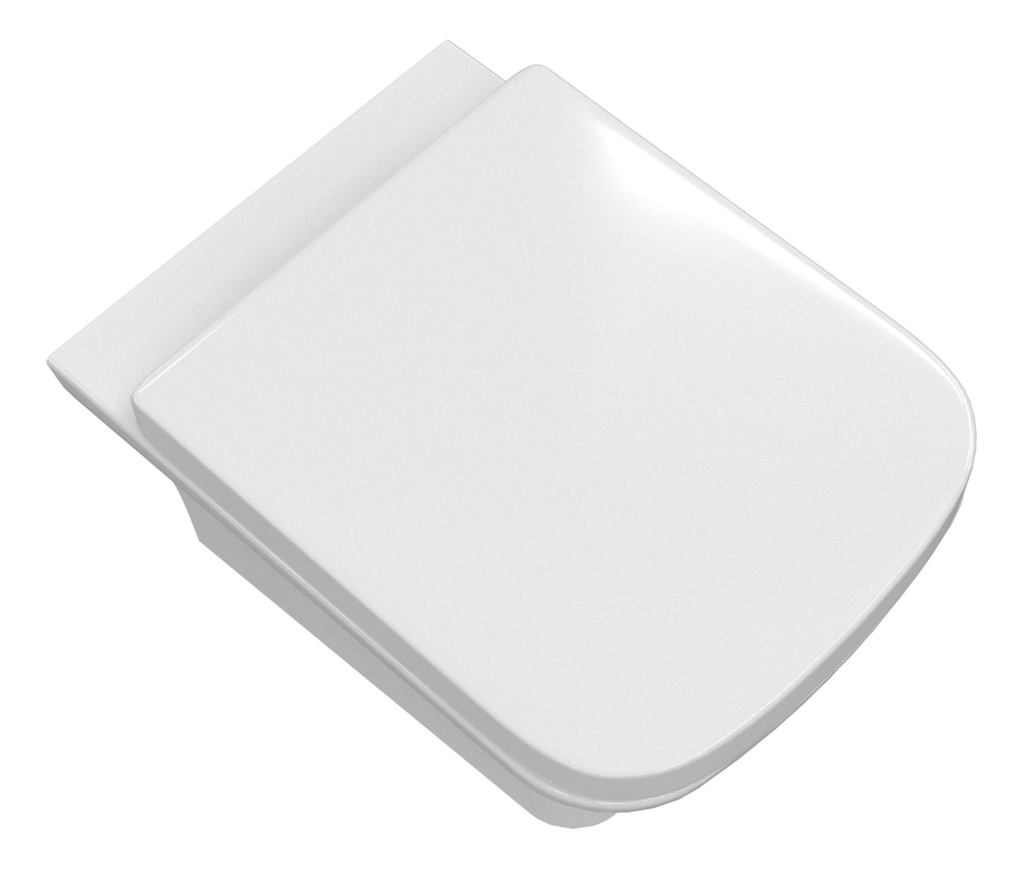 Rimless Back To Wall WC & Soft Close Seat - DIPTP0394-HighAngled_CO.jpg