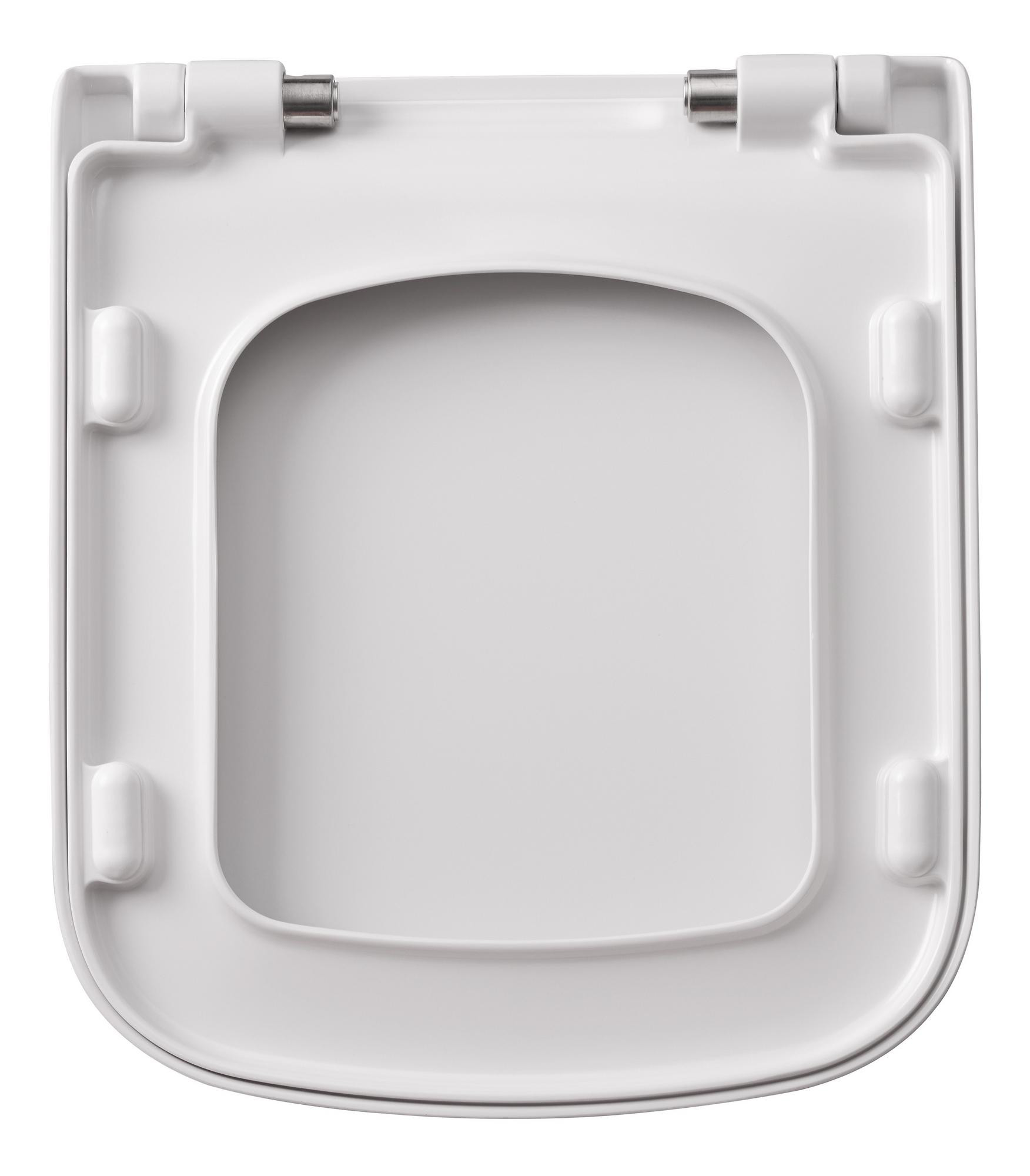 Rimless Back To Wall WC & Soft Close Seat - DISA0130-Under_CO.jpg