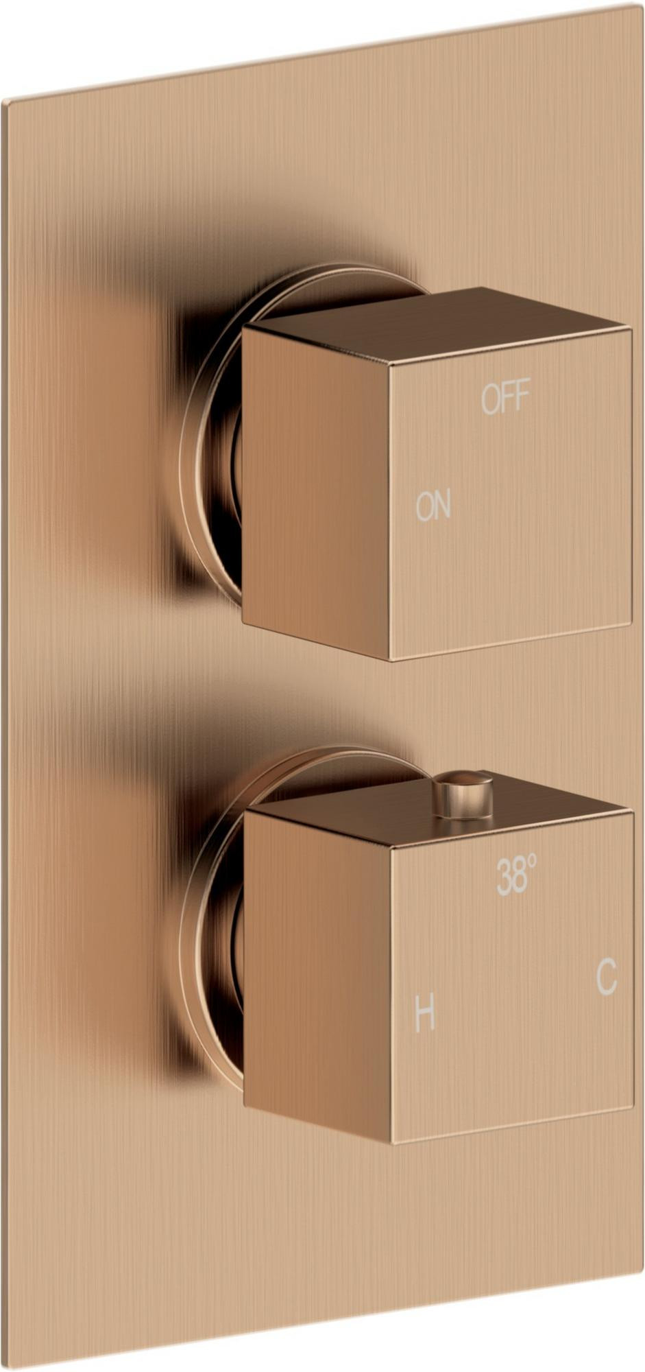 Thermostatic Single Outlet Twin Shower Valve - DICM0794_CO.jpg