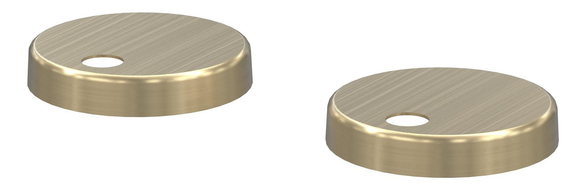 Toilet Seat Cover Caps - DIAC0220-Angled_CO.jpg