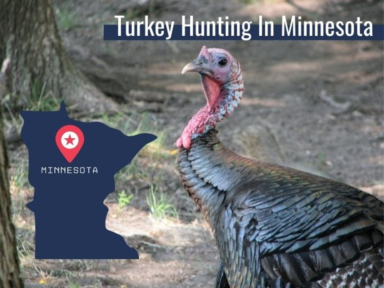 Mn Turkey Season 2024 Dates Korie Thelma