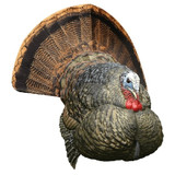 Avian-X LCD Strutter Decoy Avian-X LCD Strutter Decoy