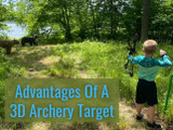 Advantages of a 3D Archery Target Advantages of a 3D Archery Target