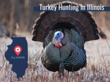 Illinois Turkey Season and Regulations 2022 Illinois Turkey Season and Regulations 2022