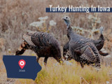 Iowa Turkey Season and Regulations 2022 Iowa Turkey Season and Regulations 2022