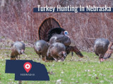 Nebraska Turkey Season and Regulations 2022 Nebraska Turkey Season and Regulations 2022