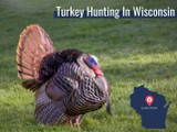 Wisconsin Turkey Season and Regulations 2022 Wisconsin Turkey Season and Regulations 2022