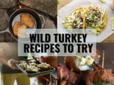 Wild Turkey Breast Recipes to Try: Using More Than Turkey Breasts Wild Turkey Breast Recipes to Try: Using More Than Turkey Breasts