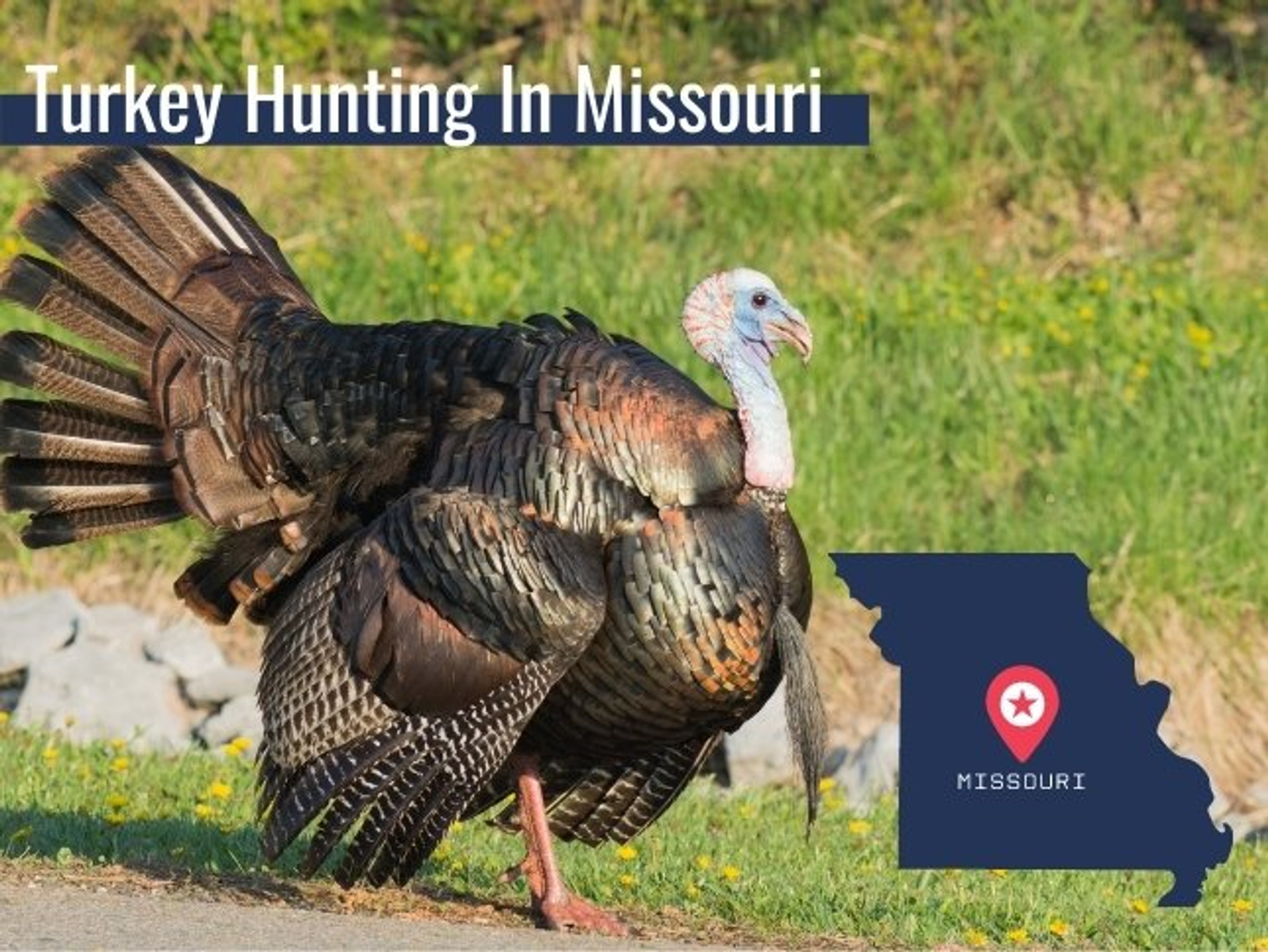 Missouri Turkey Season and Regulations 2022 Archery Country