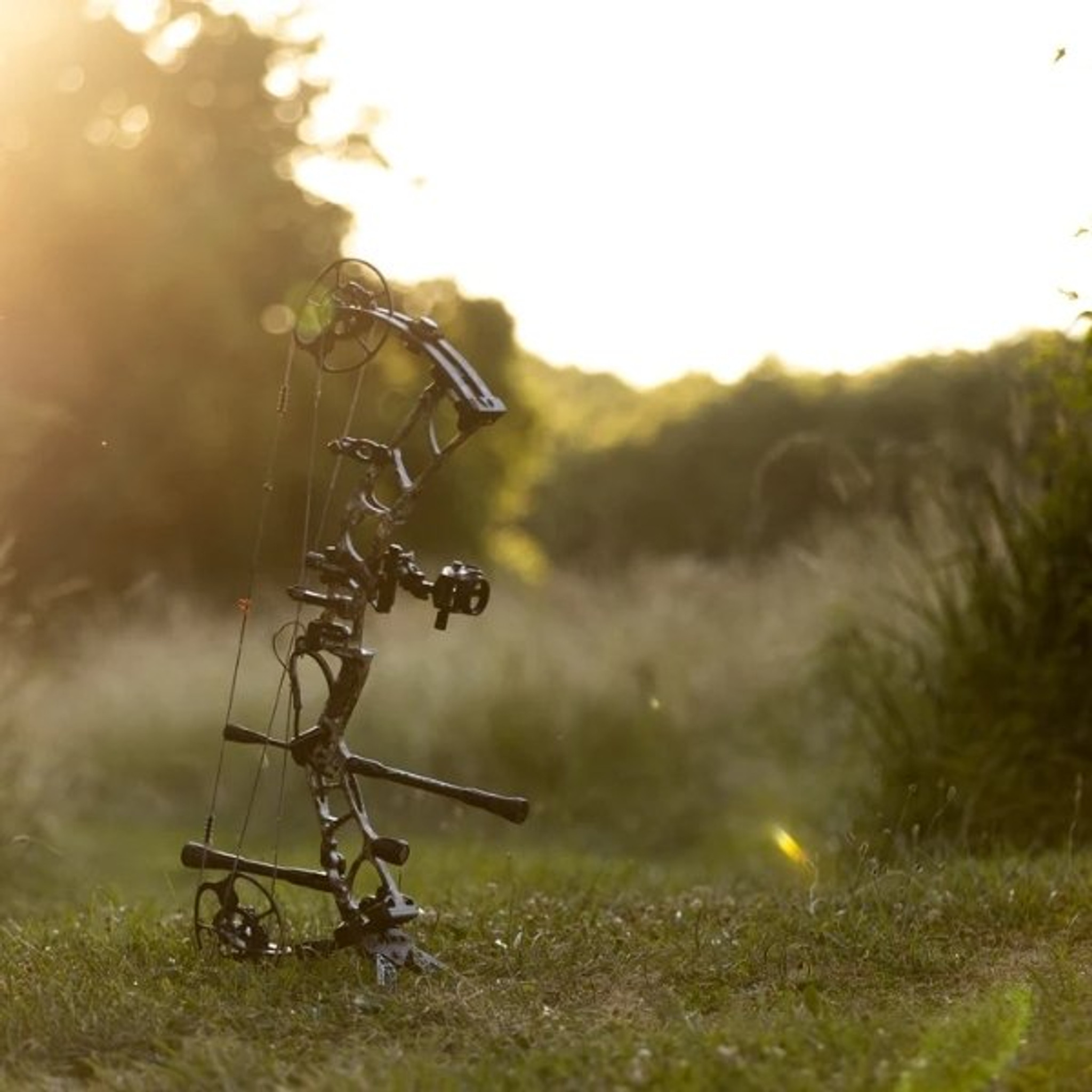 Elite Omnia Archery Country