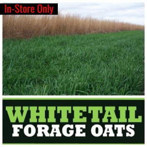 Real World Forage Oats - 50 lbs. Real World Forage Oats - 50 lbs.