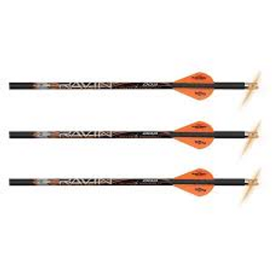Ravin Lighted Arrows Ravin Lighted Arrows
