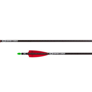 TenPoint EVO-X CenterPunch 20 Crossbow Arrows With Alpha-Nock HP –  Lancaster Archery Supply