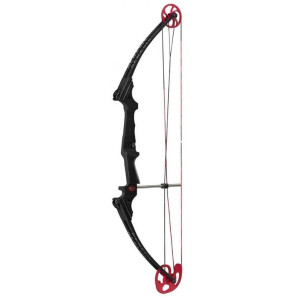 Genesis Bow Genesis Bow