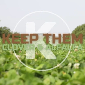 Kanati Keep Them Clover & Alfalfa Kanati Keep Them Clover & Alfalfa