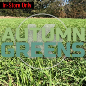 Kanati Autumn Greens Kanati Autumn Greens