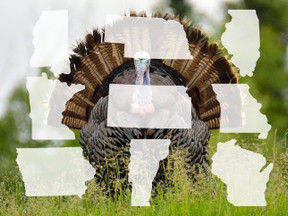 Most Popular Turkey Hunting States Dates And Regulations 2022 Most Popular Turkey Hunting States Dates And Regulations 2022
