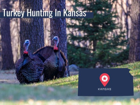 Kansas Turkey Season and Regulations 2022 - Archery Country