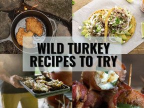 Wild Turkey Breast Recipes to Try: Using More Than Turkey Breasts Wild Turkey Breast Recipes to Try: Using More Than Turkey Breasts