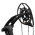 Bowtech Amplify Synchronized Binary Cams Bowtech Amplify Synchronized Binary Cams