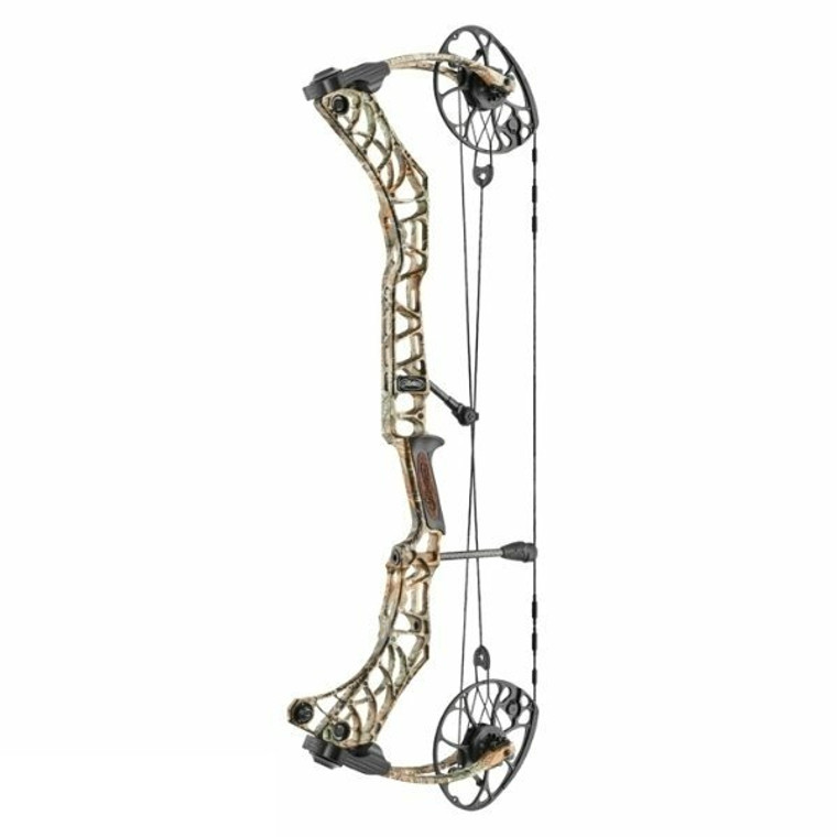 Mathews V3 31