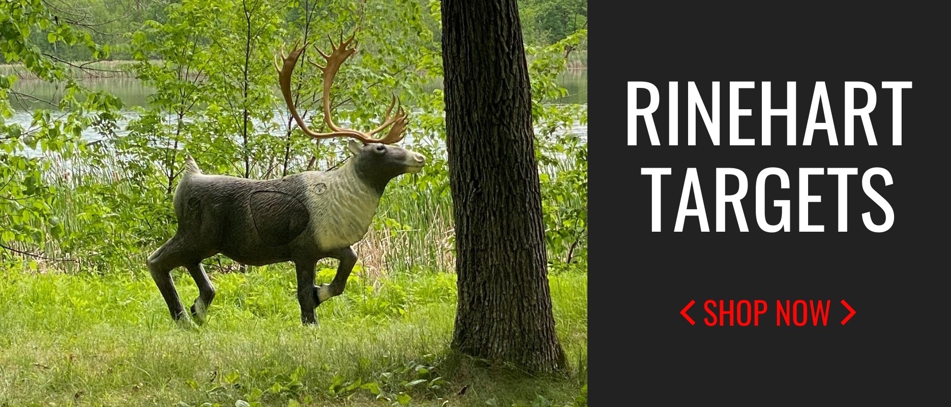 Archery Country it’s the Experience Bow Hunting & Target Archery Gear