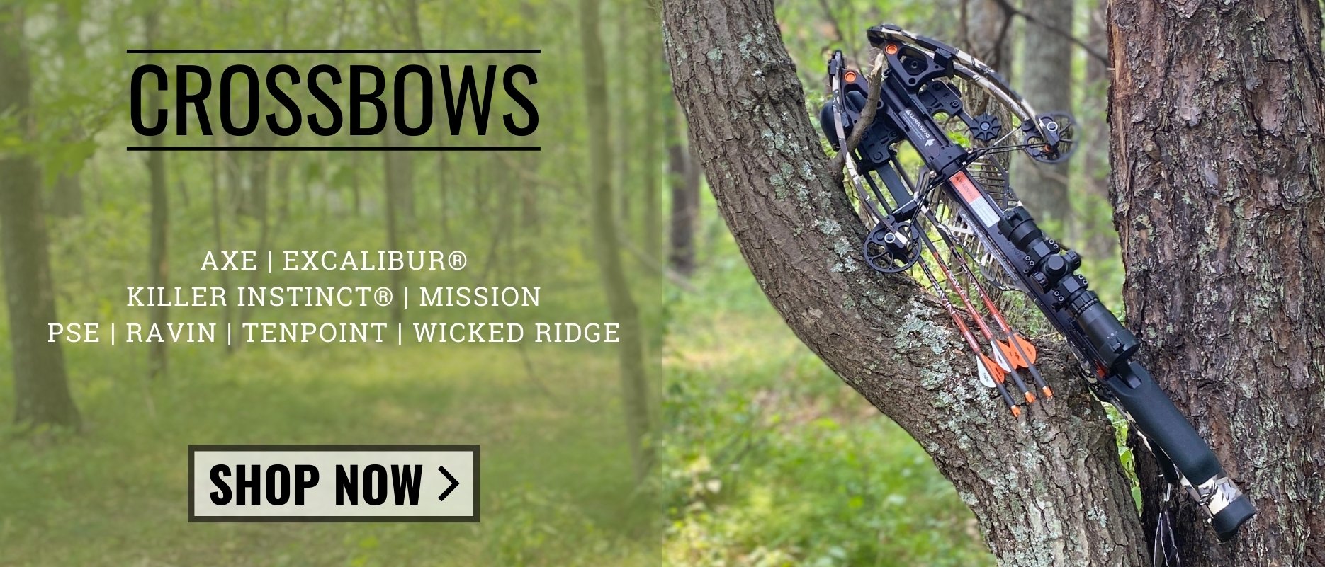 Archery Country it’s the Experience Bow Hunting & Target Archery Gear