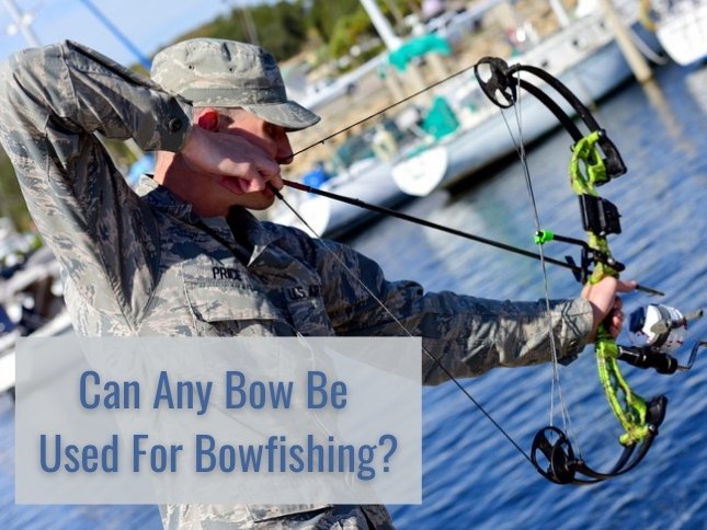 Bowfishing Accessories - Archery Country