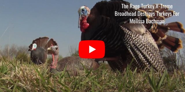 The Rage Turkey X-Treme Broadhead Destroys Turkeys For Melissa Bachman