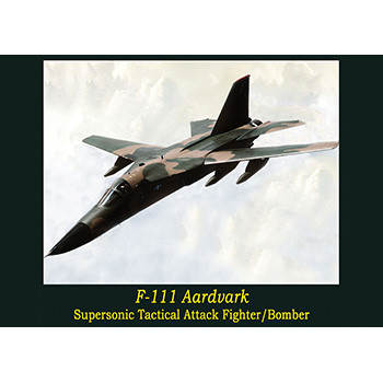 F-111 Aardvark - DVD Main Image