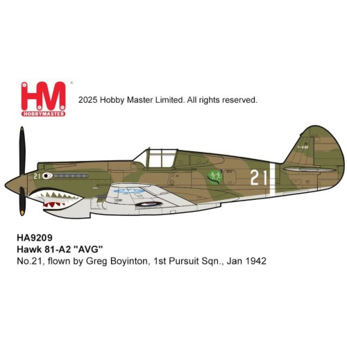 P-40B Warhawk 1/48 Diecast Model Main Image