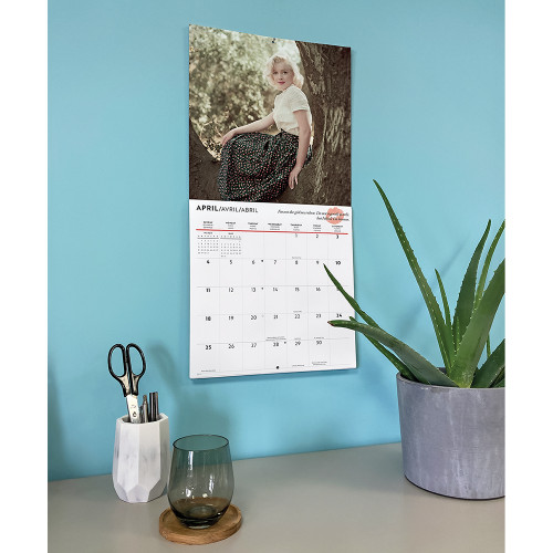 Marilyn Monroe 2027 Wall Calendar CAROUSEL (270959)  Alt Image 5
