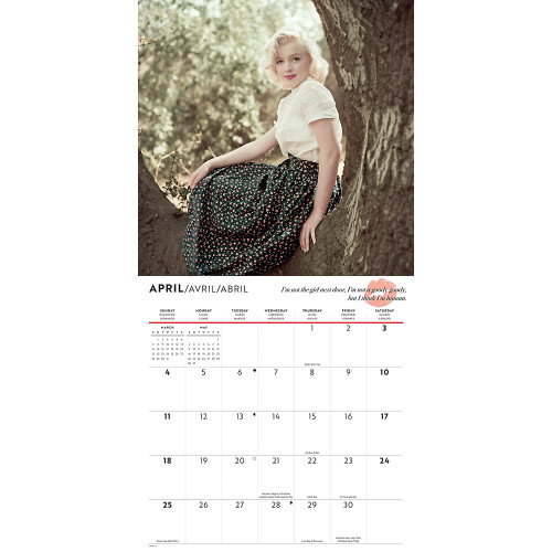 Marilyn Monroe 2027 Wall Calendar CAROUSEL (270959) Alt Image 2